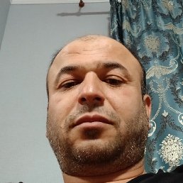 ����, ������, 41 ���