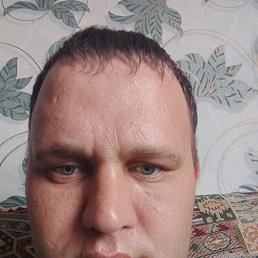 , 33, 