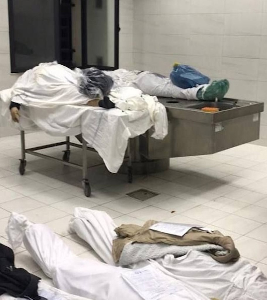   ,  ,    ,    . ... - 3