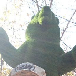 ����, 43 ����, �������