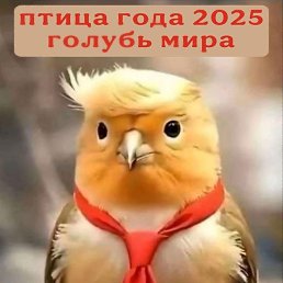 ���� �����, �����, 74 ���� - ��������� 7 ������ 2025