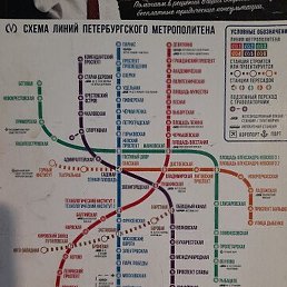 �������, �����-���������, 41 ���