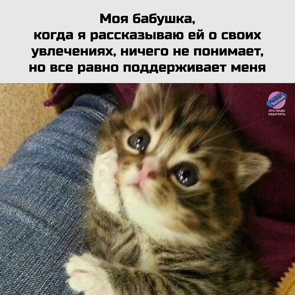 ОБО ВСЕМ - 7 октября 2025 в 16:49