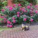 ���� ����, �����������, 64 ���� - ��������� 20 ���� 2025 � ������ ������ ��������