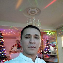 , 41, 