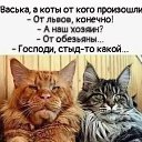 ���� �����, �����������, 59 ��� - ��������� 18 ������� 2026 � ������ ���� ����������
