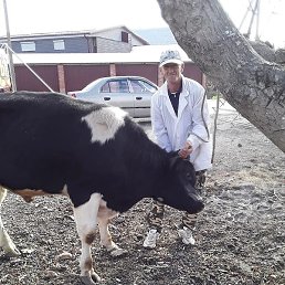 �����, ��������, 60 ���