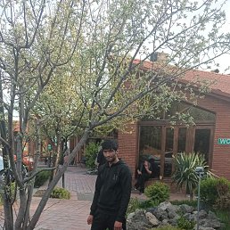 , 29, 
