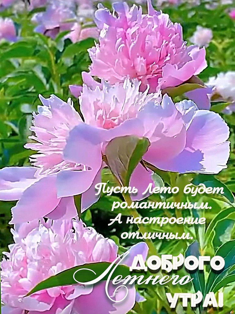 5 ... ...  !         !