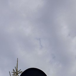  , 45 , -