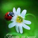 ���� Maricha, ����, 64 ���� - ��������� 26 ����� 2025 � ������ ������ ��������