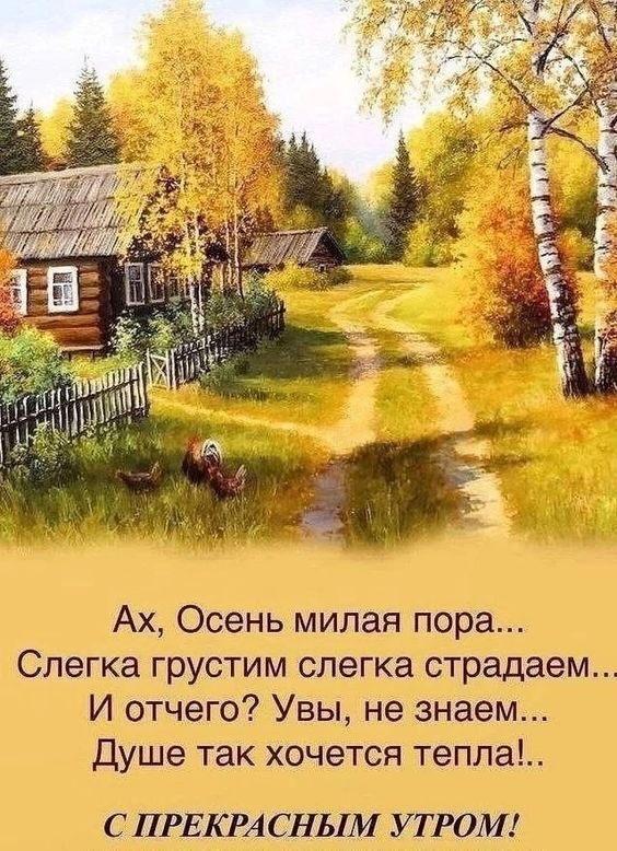  - 22  2024  07:43
