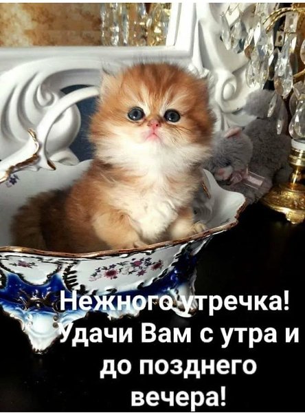  - 25  2024  08:59