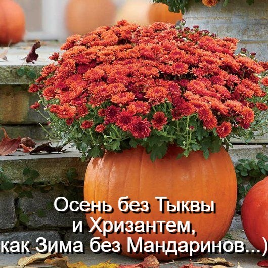   - 28  2025  13:23