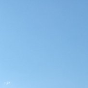 �����, 47 ���, ������