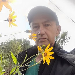 �������, 53 ����, ����