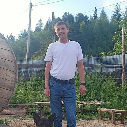 ����, 40 ���, ���������