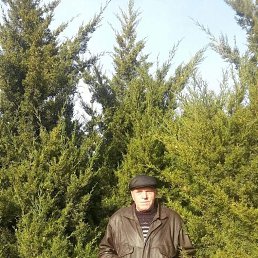 ���������, 66 ���, ������