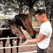 �����, 37 ���, ���������