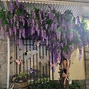 ���� ��������, ����, 32 ���� - ��������� 25 ������ 2026 � ������ ���� ����������