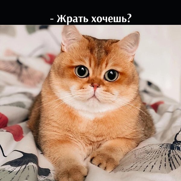       - 5  2025  22:28 - 2
