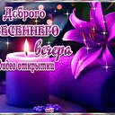 ���� �����, ������ - ��������� 24 ������ 2026 � ������ ������ ��������
