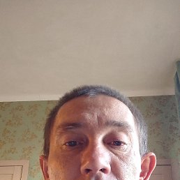 , 33, 
