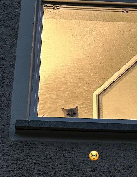 ��� ���� � ����� �� �� - 11 ������� 2025 � 18:33 - 3