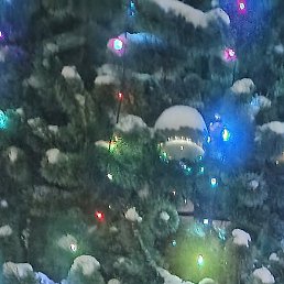 �����, ������, 37 ���