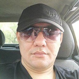 ������, ��������, 41 ���