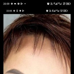 �������, ����, 48 ���