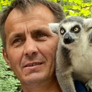 �������, 47 ���, ������