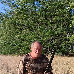 �������, ����, 68 ���