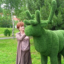  , -, 55  -  16  2025