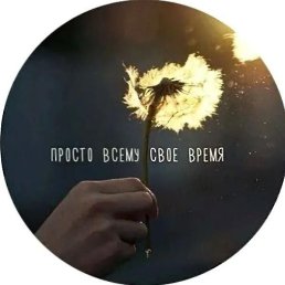 ���� ������, ������, 43 ���� - ��������� 16 ������� 2025