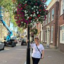 ���� ����, ������ - ��������� 4 ������ 2024 � ������ ���� ����������
