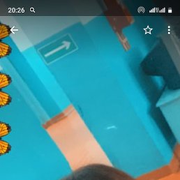 , , 44 
