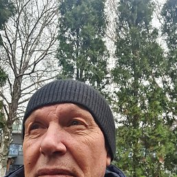 , 62, 