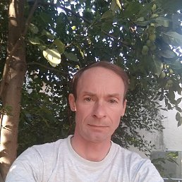, 50, 