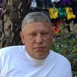 ������, �����������, 50 ���