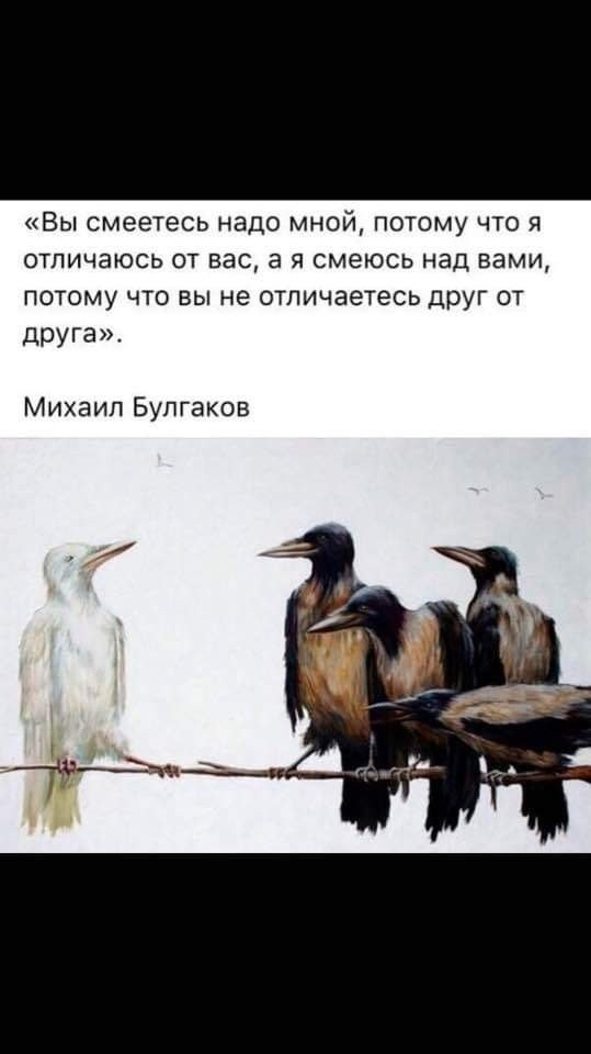   - 4  2024  04:07
