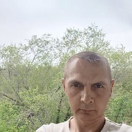 , 40, 