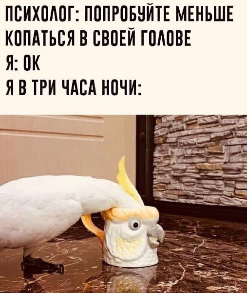    - 29  2024  23:40