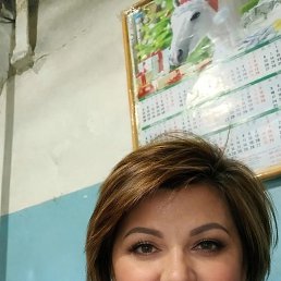 ���� �����, ������, 49 ��� - ��������� 2 ���� 2026