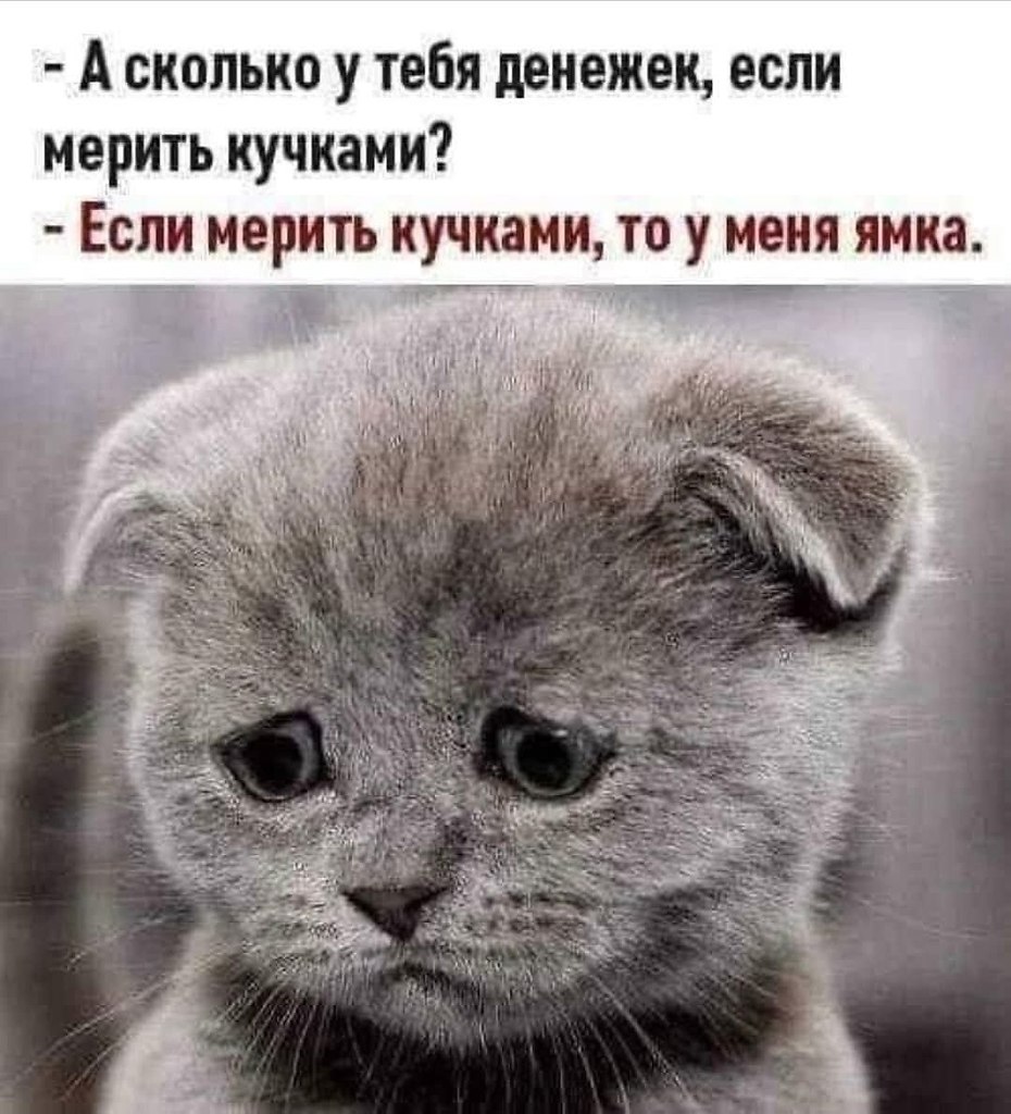   - 12  2025  12:53