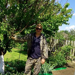 ����, 59 ���, ��������