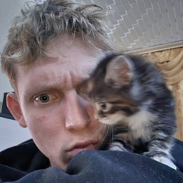 �����, 25 ���, �������