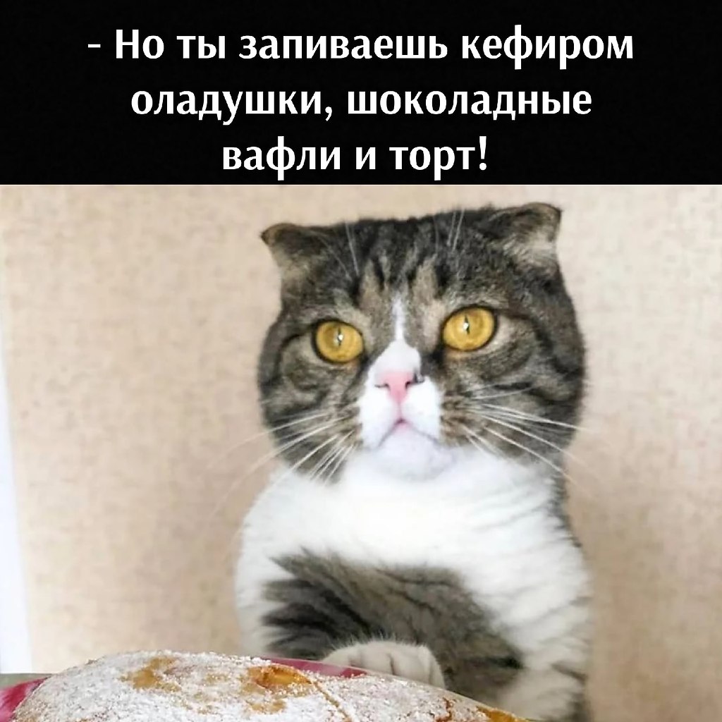 ��� ���� � ����� �� �� - 18 ����� 2026 � 22:30 - 3