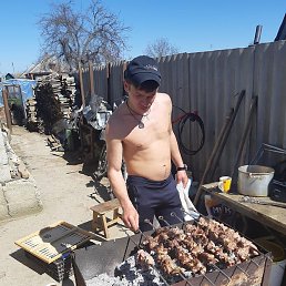 ������, ���������, 37 ���