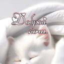 ���� �������, ������, 45 ��� - ��������� 3 ����� 2026 � ������ ������ ��������